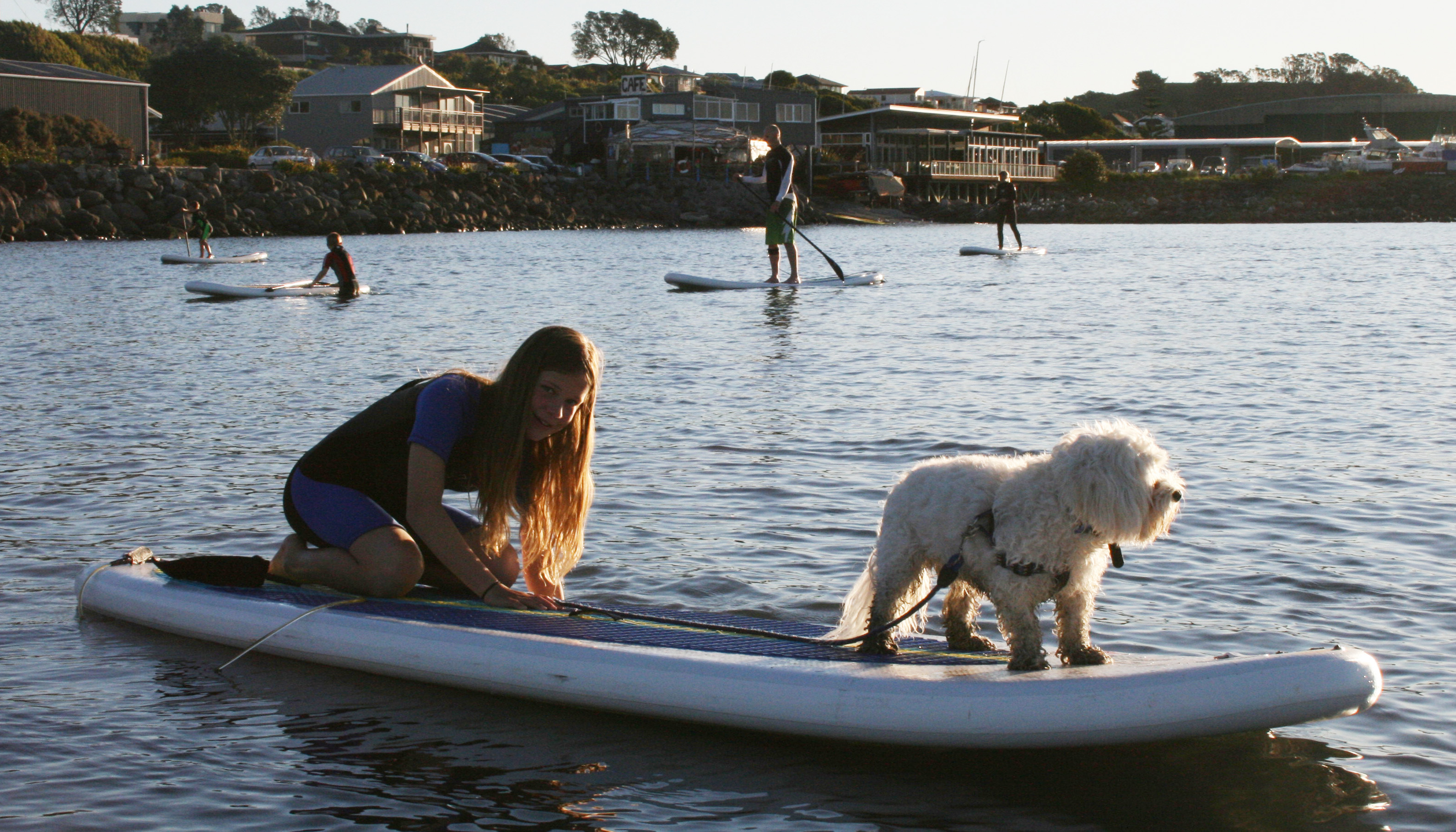 ANIMAL FUN: Ruby Hosking, 11, takes her furry friend Monty for a paddleboard ride during a public give it a go session in New Plymouth’s Breakwater Bay. Photo: Supplied