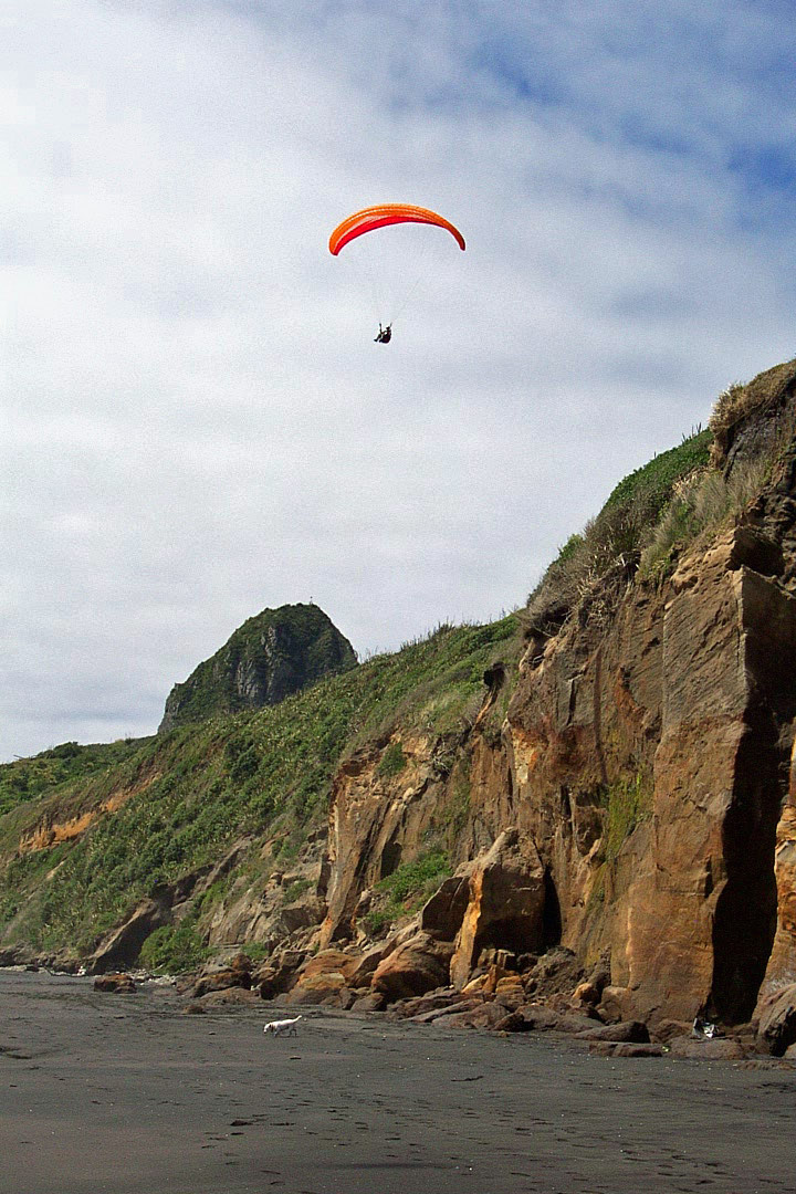 Hang gliding at Back Beach