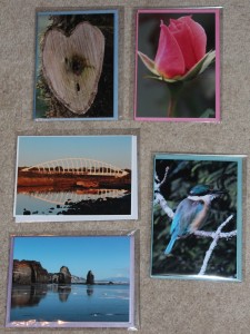 SET 2 - Heart shaped branch - TeRewarewa Bridge, Waiwakaiho - Three sisters and elephant rock with Mt Egmont / Taranaki from Tongapurutu - Kate Shepherd Rose - Kingfisher