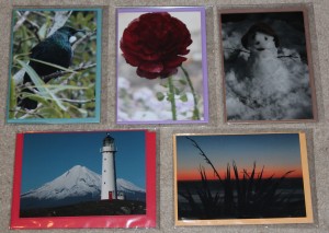 SET 3 - Tui - Renunculus - Snowman - Cape Egmont Lighthouse with Mt Egmont / Taranaki  - Sunset at Back Beach, New Plymouth