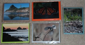 SET 4 - Paritutu Rock from Back Beach - Monarch Butterfly - 3 Kingfishers - View from Belt Road towards Port, New Plymouth - Fantail in flight