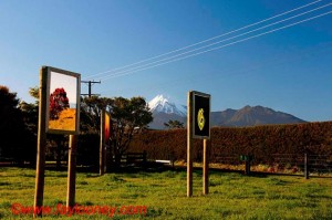 Fay Looney's photography on display in her front paddock, Koru Road, Oakura, Taranaki