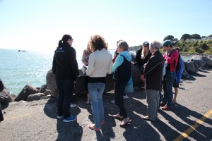 A small group of supporters of the Nga Motu Marine Reserve Society gathered to release 'Little Blue Penguin Taranaki' back into the wild.